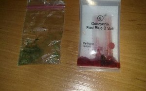 Zdjęcie przedstawia narkotest i woreczek foliowy z zawartością marihuany
